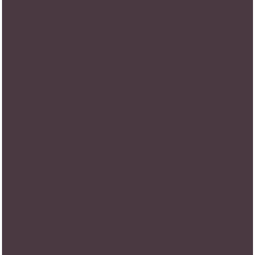 Tru-Color Paint, TCP-011, Airbrush Ready, BoxCar Brown, 1 oz