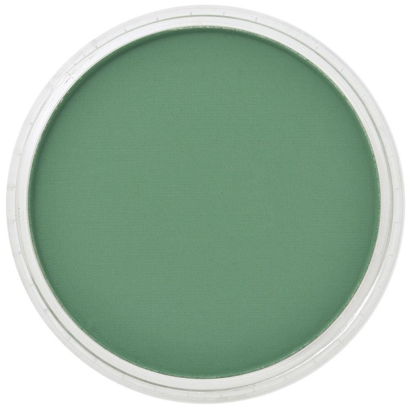 PanPastel, 26403, Artist Pastel, Permanent Green Shade, 640.3