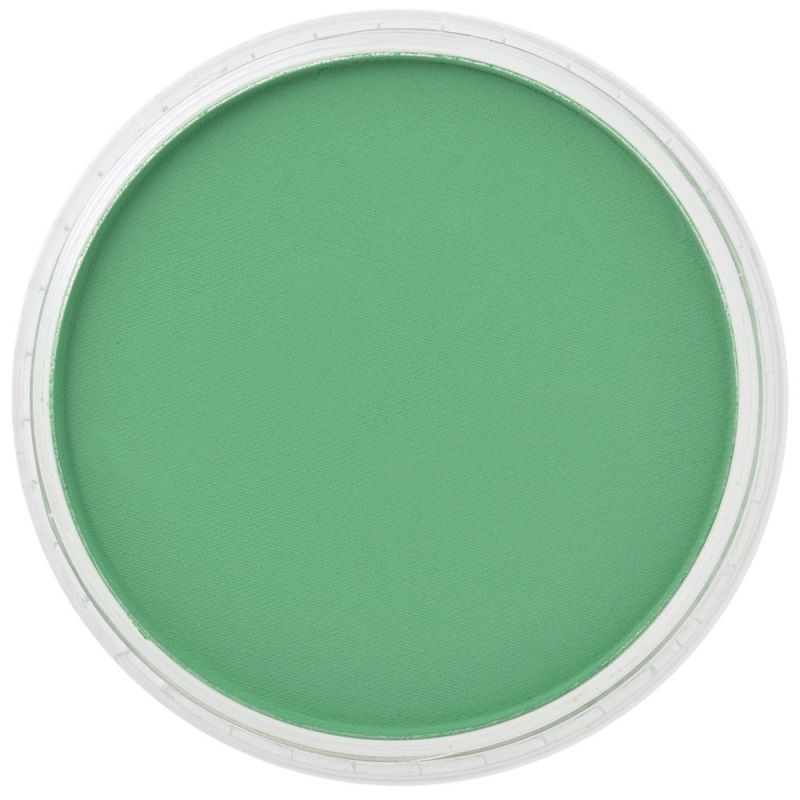 PanPastel, 26405, Artist Pastel, Permanent Green, 640.5