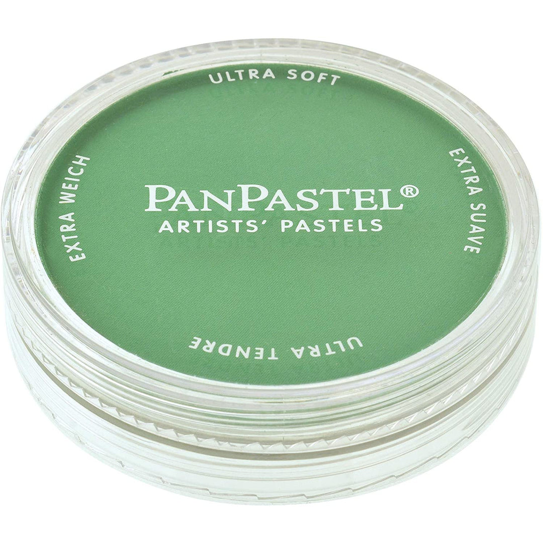 PanPastel, 26403, Artist Pastel, Permanent Green Shade, 640.3