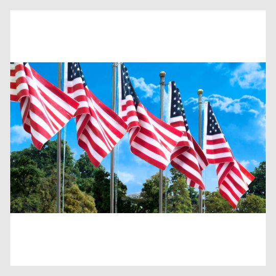 3965102555159 - Woodland Scenics Jp5950, Us Flag And Pole - Small - Rj's Trains