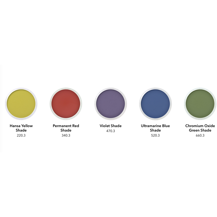 PanPastel, 30053, Starter Set - Shades , 5 Color Set