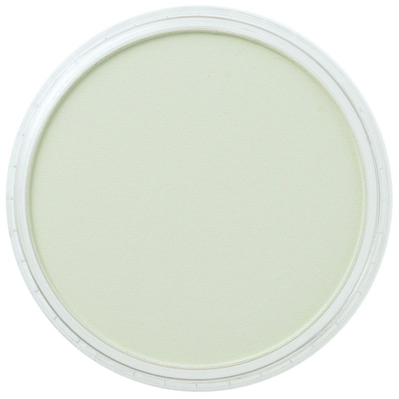 PanPastel, 26608, Artist Pastel, Chromium Oxide Green Tint, 660.8