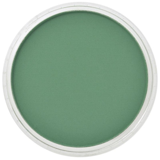 PanPastel, 26403, Artist Pastel, Permanent Green Shade, 640.3