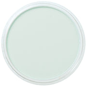 PanPastel, 26208, Artist Pastel, Phthalo Green Tint, 620.8