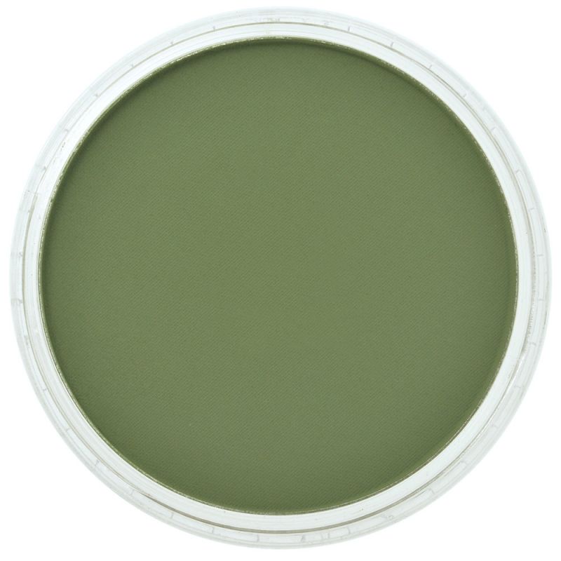 PanPastel, 26603, Artist Pastel, Chromium Green Shade, 660.3