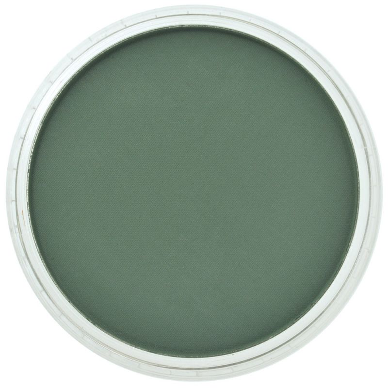 PanPastel, 26401, Artist Pastel, Phthalo Green Extra Dark, 640.1